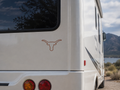 Texas Longhorn Decal – 5" x 5" Vinyl